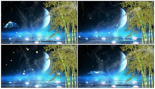 月光爆料最新视频下载安装,揭秘下载安装全攻略  第1张