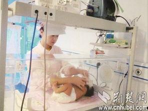 胖妈出租屋爆料视频,揭秘真实租房生活背后的故事 第2张 胖妈出租屋爆料视频,揭秘真实租房生活背后的故事 第2张