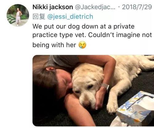 宠物安乐死娱乐吃瓜酱,娱乐吃瓜酱带你揭秘背后真相  第3张